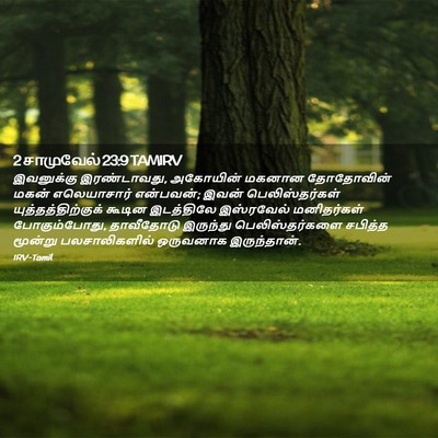 Picture 02 - 2 சாமுவேல் 23:9 TAMIRV - இவனுக்கு - Bible Verse Picture