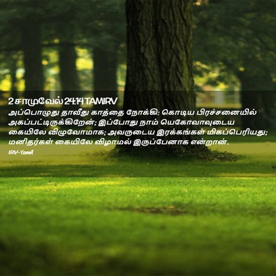Picture 02 - 2 சாமுவேல் 24:14 TAMIRV - அப்பொழுது தாவீது - Bible Verse Picture