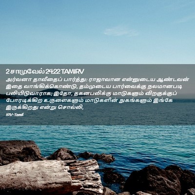 Picture 02 - 2 சாமுவேல் 24:22 TAMIRV - அர்வனா தாவீதைப் - Bible Verse Picture
