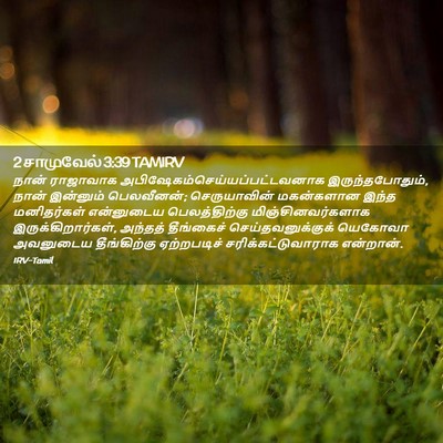 Picture 02 - 2 சாமுவேல் 3:39 TAMIRV - நான் ராஜாவாக - Bible Verse Picture