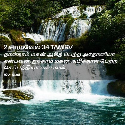 Picture 02 - 2 சாமுவேல் 3:4 TAMIRV - நான்காம் மகன் - Bible Verse Picture
