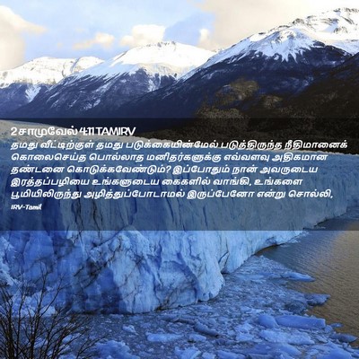 Picture 02 - 2 சாமுவேல் 4:11 TAMIRV - தமது வீட்டிற்குள் - Bible Verse Picture