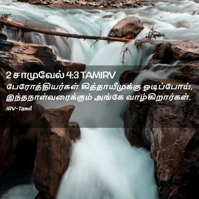 Picture 02 - 2 சாமுவேல் 4:3 TAMIRV - பேரோத்தியர்கள் - Bible Verse Picture