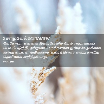 Picture 02 - 2 சாமுவேல் 5:12 TAMIRV - யெகோவா தன்னை - Bible Verse Picture