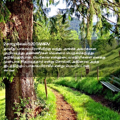 Picture 02 - 2 சாமுவேல் 5:20 TAMIRV - தாவீது - Bible Verse Picture