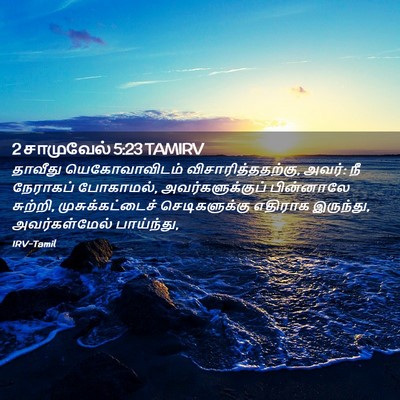 Picture 02 - 2 சாமுவேல் 5:23 TAMIRV - தாவீது - Bible Verse Picture