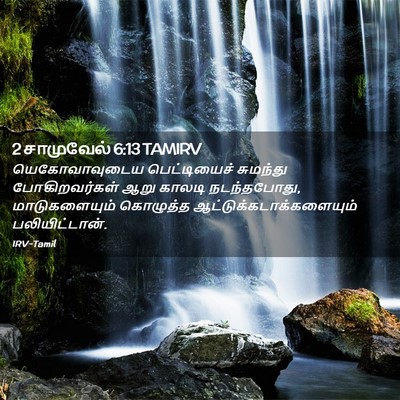 Picture 02 - 2 சாமுவேல் 6:13 TAMIRV - யெகோவாவுடைய - Bible Verse Picture