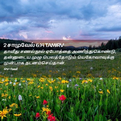 Picture 02 - 2 சாமுவேல் 6:14 TAMIRV - தாவீது சணல்நூல் - Bible Verse Picture