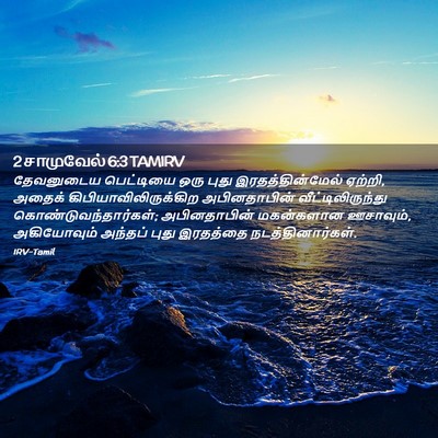 Picture 02 - 2 சாமுவேல் 6:3 TAMIRV - தேவனுடைய பெட்டியை - Bible Verse Picture
