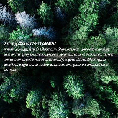 Picture 02 - 2 சாமுவேல் 7:14 TAMIRV - நான் அவனுக்குப் - Bible Verse Picture