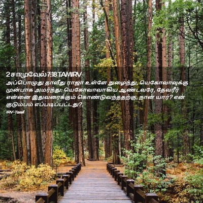Picture 02 - 2 சாமுவேல் 7:18 TAMIRV - அப்பொழுது தாவீது - Bible Verse Picture