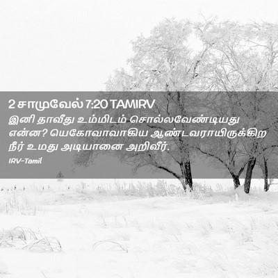Picture 02 - 2 சாமுவேல் 7:20 TAMIRV - இனி தாவீது - Bible Verse Picture