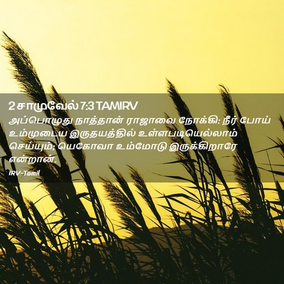 Picture 02 - 2 சாமுவேல் 7:3 TAMIRV - அப்பொழுது - Bible Verse Picture