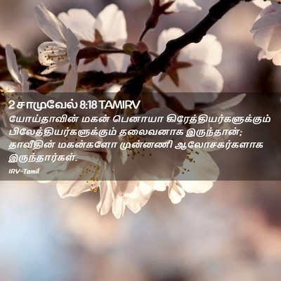 Picture 02 - 2 சாமுவேல் 8:18 TAMIRV - யோய்தாவின் மகன் - Bible Verse Picture