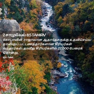 Picture 02 - 2 சாமுவேல் 8:5 TAMIRV - சோபாவின் ராஜாவான - Bible Verse Picture