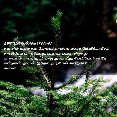 Picture 02 - 2 சாமுவேல் 9:6 TAMIRV - சவுலின் மகனான - Bible Verse Picture
