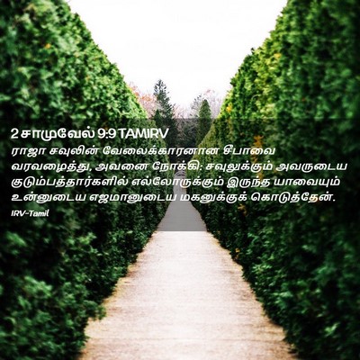 Picture 02 - 2 சாமுவேல் 9:9 TAMIRV - ராஜா சவுலின் - Bible Verse Picture