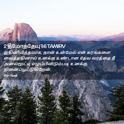 Picture 02 - 2 தீமோத்தேயு 1:6 TAMIRV - இதினிமித்தமாக, - Bible Verse Picture
