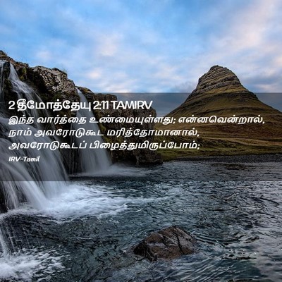Picture 02 - 2 தீமோத்தேயு 2:11 TAMIRV - இந்த வார்த்தை - Bible Verse Picture