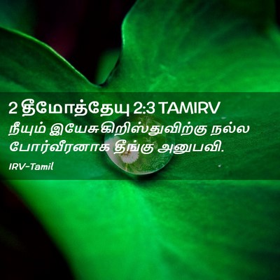 Picture 02 - 2 தீமோத்தேயு 2:3 TAMIRV - நீயும் - Bible Verse Picture
