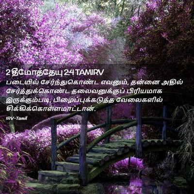 Picture 02 - 2 தீமோத்தேயு 2:4 TAMIRV - படையில் - Bible Verse Picture