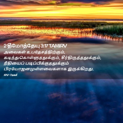 Picture 02 - 2 தீமோத்தேயு 3:17 TAMIRV - அவைகள் - Bible Verse Picture