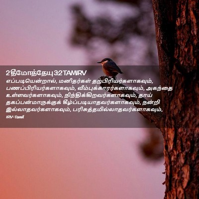 Picture 02 - 2 தீமோத்தேயு 3:2 TAMIRV - எப்படியென்றால், - Bible Verse Picture