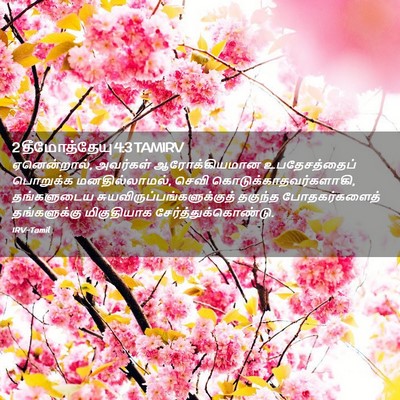 Picture 02 - 2 தீமோத்தேயு 4:3 TAMIRV - ஏனென்றால், - Bible Verse Picture