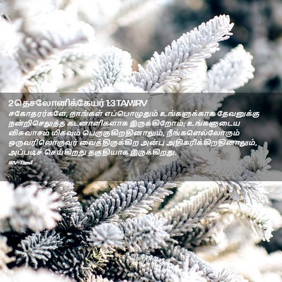 Picture 02 - 2 தெசலோனிக்கேயர் 1:3 TAMIRV - சகோதரர்களே, - Bible Verse Picture
