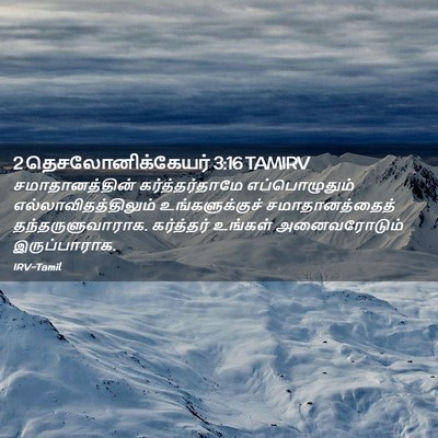 Picture 02 - 2 தெசலோனிக்கேயர் 3:16 TAMIRV - சமாதானத்தின் - Bible Verse Picture