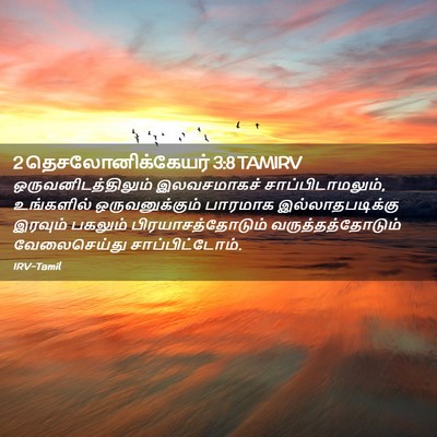 Picture 02 - 2 தெசலோனிக்கேயர் 3:8 TAMIRV - ஒருவனிடத்திலும் - Bible Verse Picture