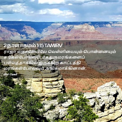 Picture 02 - 2 நாளாகமம் 1:15 TAMIRV - ராஜா எருசலேமிலே - Bible Verse Picture