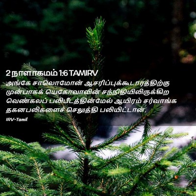 Picture 02 - 2 நாளாகமம் 1:6 TAMIRV - அங்கே சாலொமோன் - Bible Verse Picture
