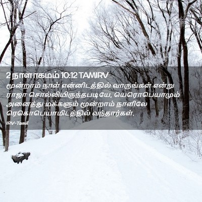 Picture 02 - 2 நாளாகமம் 10:12 TAMIRV - மூன்றாம் நாள் - Bible Verse Picture