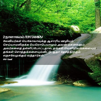 Picture 02 - 2 நாளாகமம் 11:14 TAMIRV - லேவியர்கள் - Bible Verse Picture
