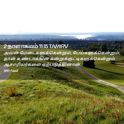 Picture 02 - 2 நாளாகமம் 11:15 TAMIRV - அவன் - Bible Verse Picture