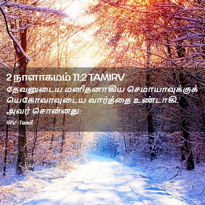 Picture 02 - 2 நாளாகமம் 11:2 TAMIRV - தேவனுடைய - Bible Verse Picture