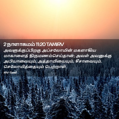 Picture 02 - 2 நாளாகமம் 11:20 TAMIRV - அவளுக்குப்பிறகு - Bible Verse Picture