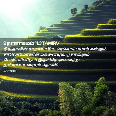 Picture 02 - 2 நாளாகமம் 11:3 TAMIRV - நீ யூதாவின் - Bible Verse Picture