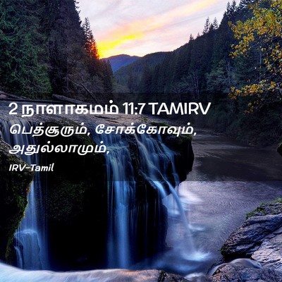 Picture 02 - 2 நாளாகமம் 11:7 TAMIRV - பெத்சூரும், - Bible Verse Picture