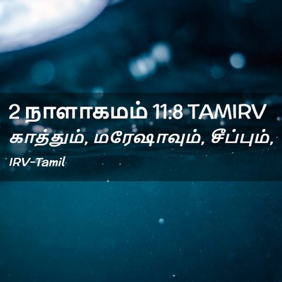 Picture 02 - 2 நாளாகமம் 11:8 TAMIRV - காத்தும், - Bible Verse Picture