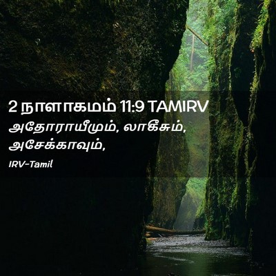 Picture 02 - 2 நாளாகமம் 11:9 TAMIRV - அதோராயீமும், - Bible Verse Picture