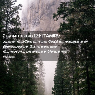 Picture 02 - 2 நாளாகமம் 12:14 TAMIRV - அவன் யெகோவாவை - Bible Verse Picture