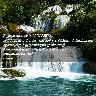 Picture 02 - 2 நாளாகமம் 14:12 TAMIRV - அப்பொழுது யெகோவா - Bible Verse Picture