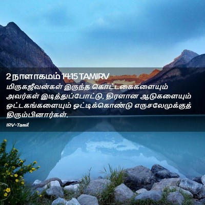 Picture 02 - 2 நாளாகமம் 14:15 TAMIRV - மிருகஜீவன்கள் - Bible Verse Picture