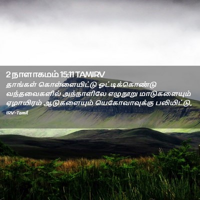 Picture 02 - 2 நாளாகமம் 15:11 TAMIRV - தாங்கள் - Bible Verse Picture