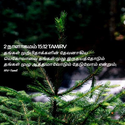 Picture 02 - 2 நாளாகமம் 15:12 TAMIRV - தங்கள் - Bible Verse Picture