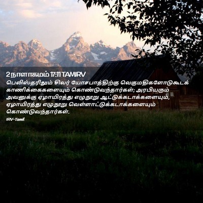 Picture 02 - 2 நாளாகமம் 17:11 TAMIRV - பெலிஸ்தரிலும் - Bible Verse Picture