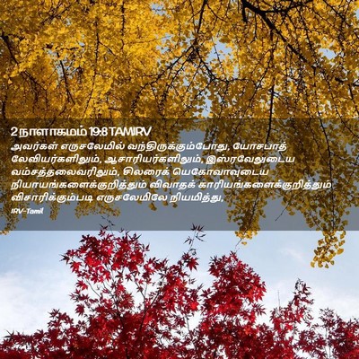 Picture 02 - 2 நாளாகமம் 19:8 TAMIRV - அவர்கள் - Bible Verse Picture