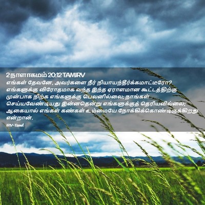 Picture 02 - 2 நாளாகமம் 20:12 TAMIRV - எங்கள் தேவனே, - Bible Verse Picture